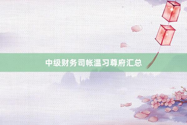 中级财务司帐温习尊府汇总