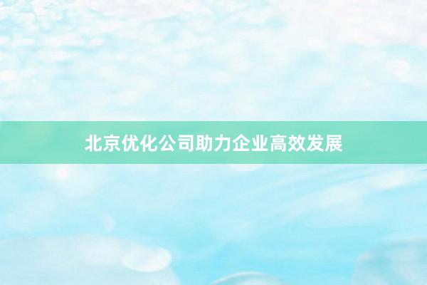 北京优化公司助力企业高效发展